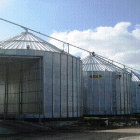 thumbs image006 - Grain storage and treatment