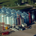 thumbs image007 - Grain storage and treatment