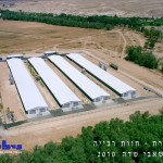 heavy breeder farm in the desert2 150x150 - לולים